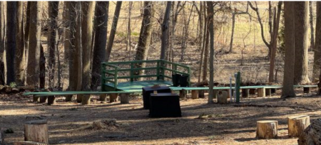 Our Chapel in the Woods